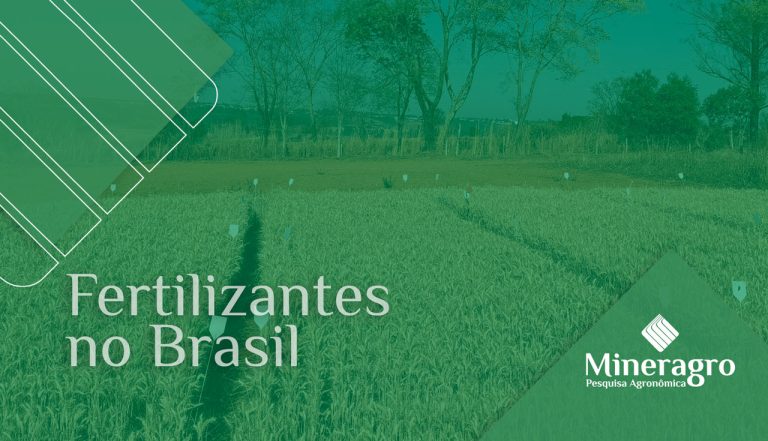 Dependência de fertilizantes no Brasil cresce e aumenta busca por bioinsumos e tecnologias de eficiência nutricional
